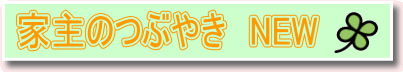 Ǝ̂Ԃ₫@mdv